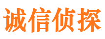 重庆侦探公司